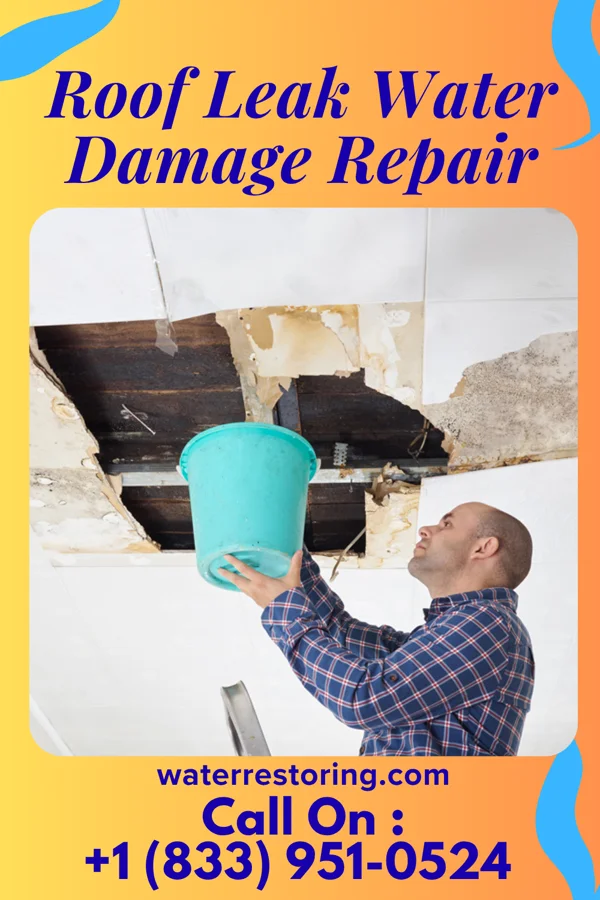 Roof Leak Water Damage Repair in Dows, IA